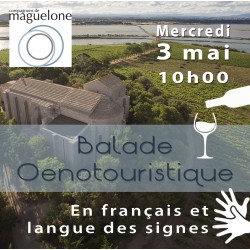 Balade Oenotouristique en...