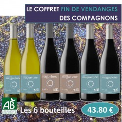 Offre fin vendanges